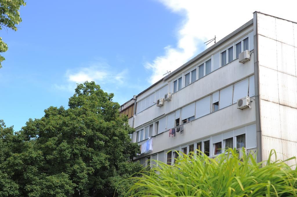 Apartment Daca Stan Beograd Eksteriør bilde