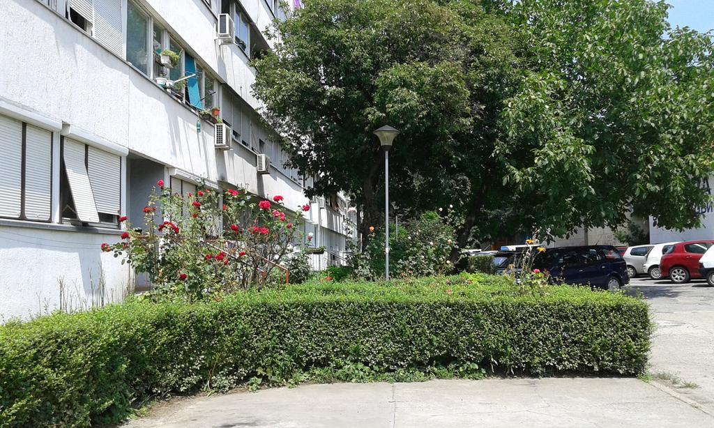 Apartment Daca Stan Beograd Eksteriør bilde